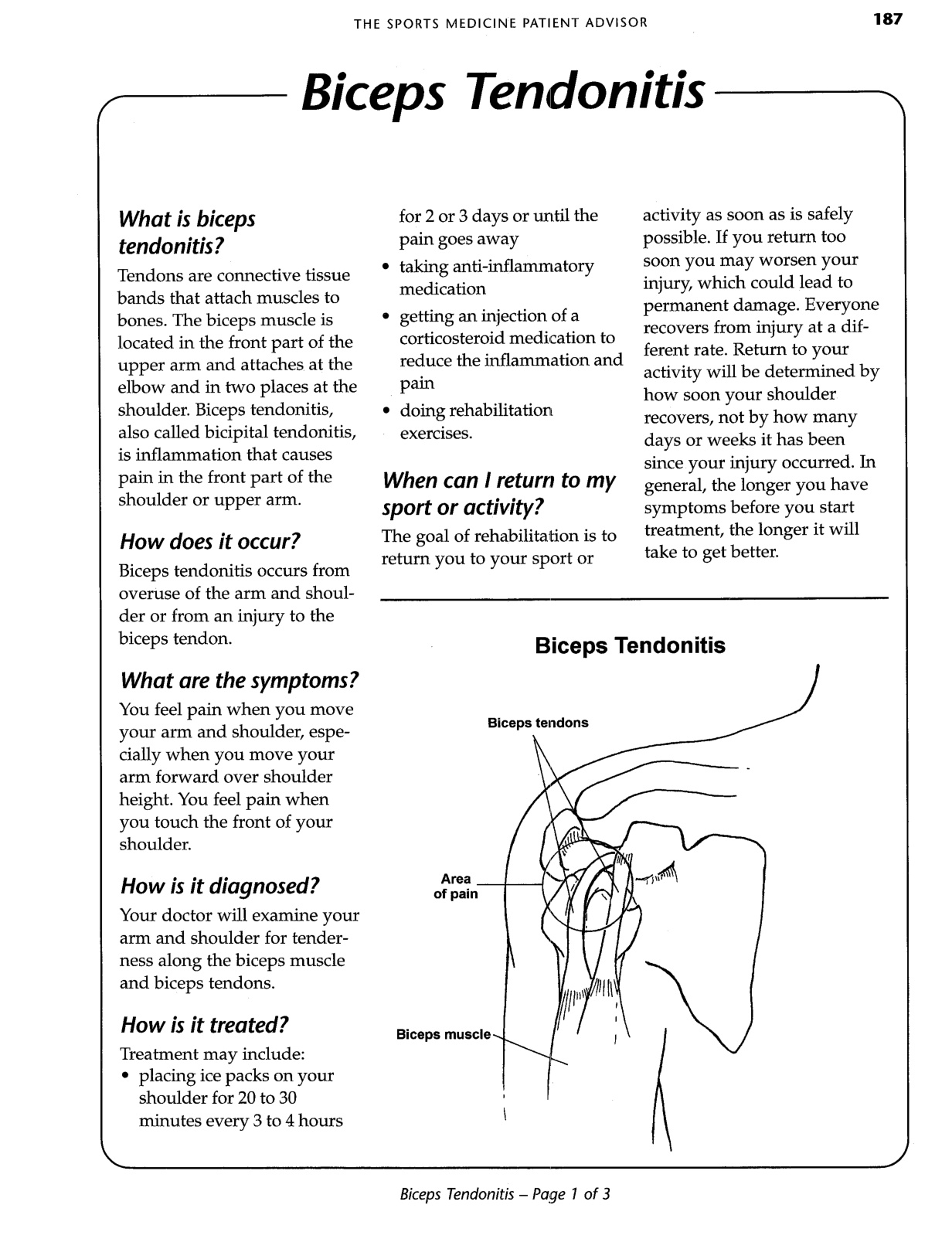 Biceps Tendonitis Exercises book cover