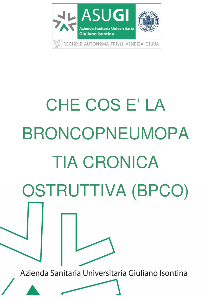 Broncopneumopatia Cronica Ostruttiva book cover