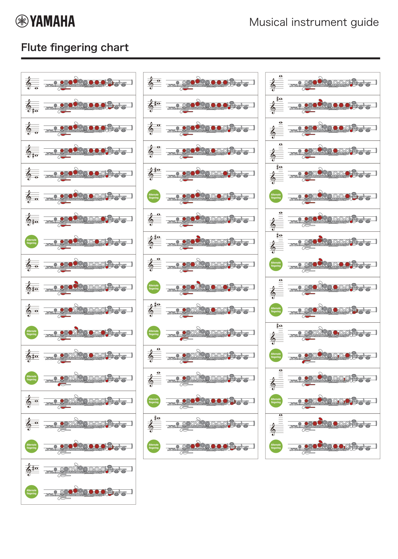 Flute Fingering Chart book cover