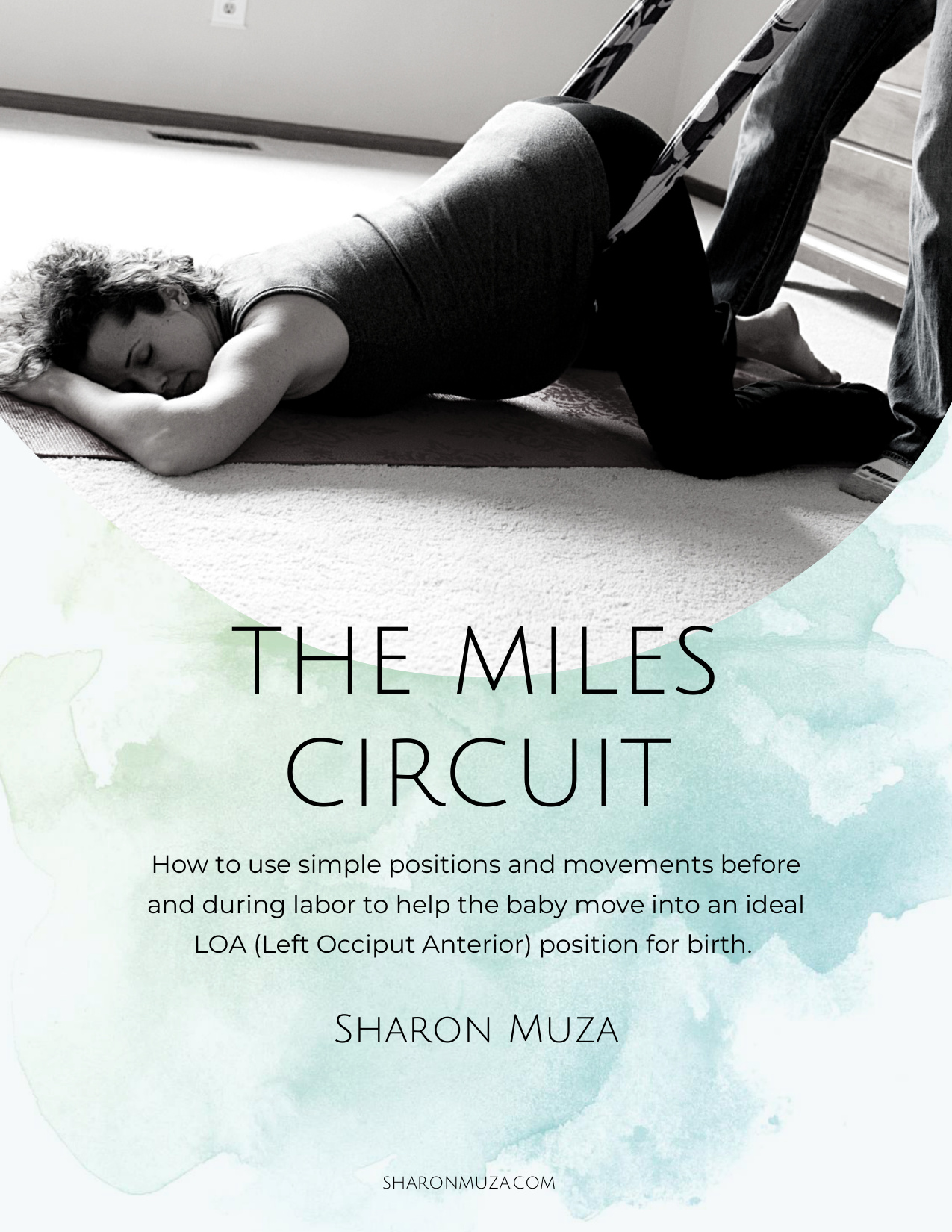 Miles Circuit book cover
