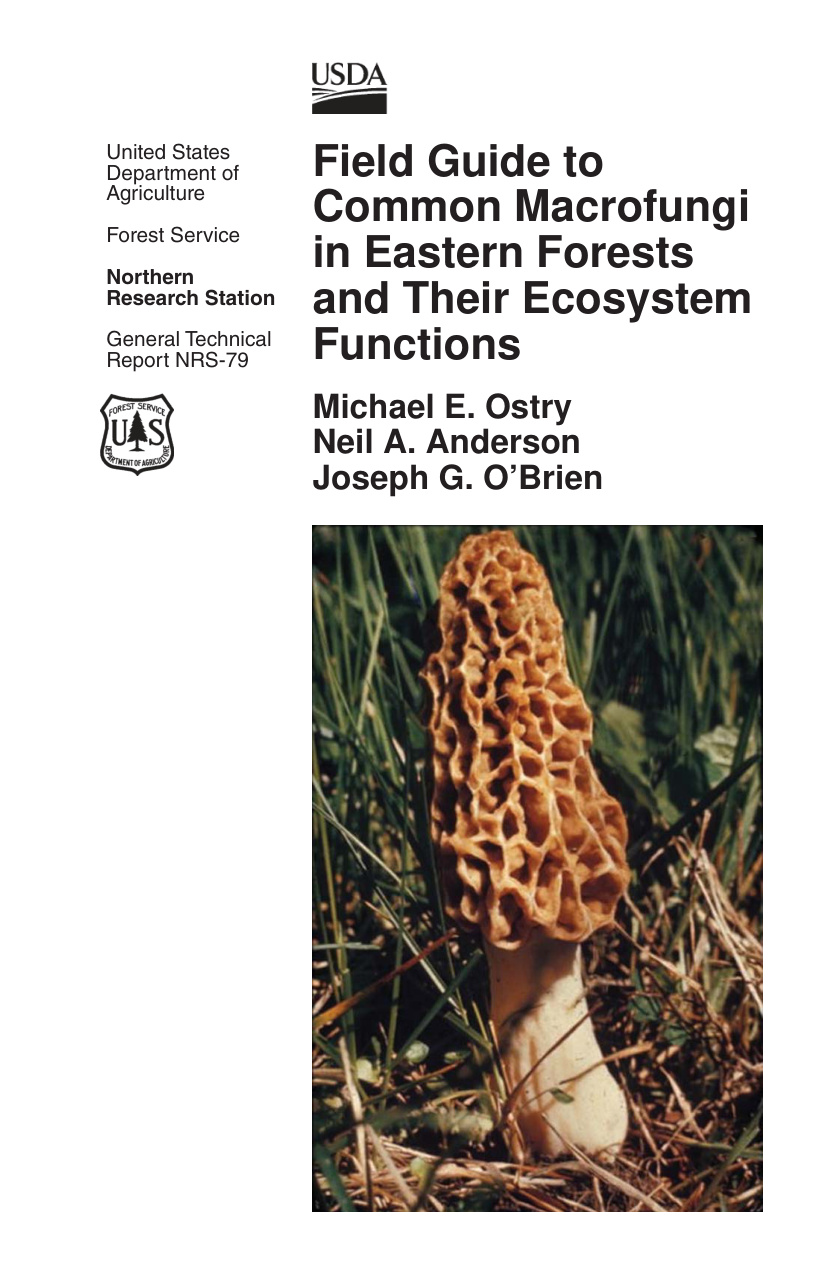 Psychedelic Mushroom Field Guide book cover