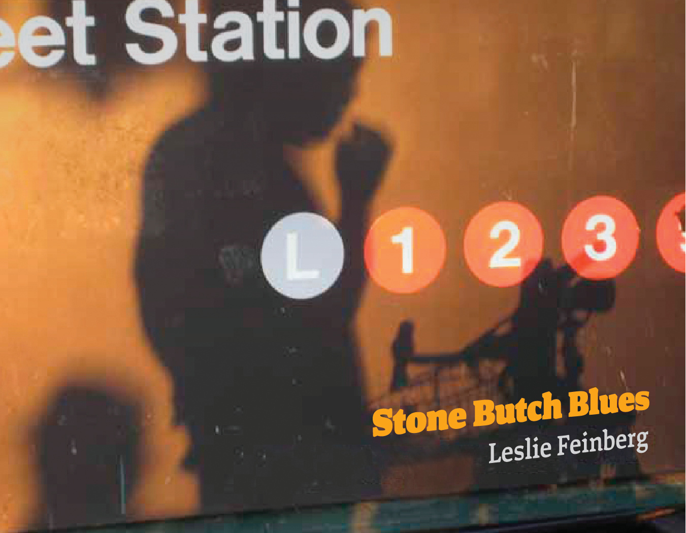 Stone Butch Blues book cover