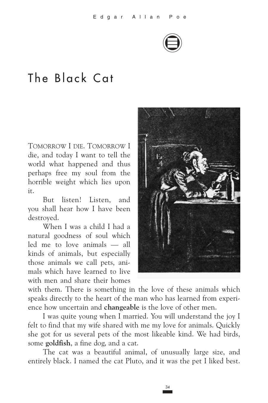 The Black Cat book cover