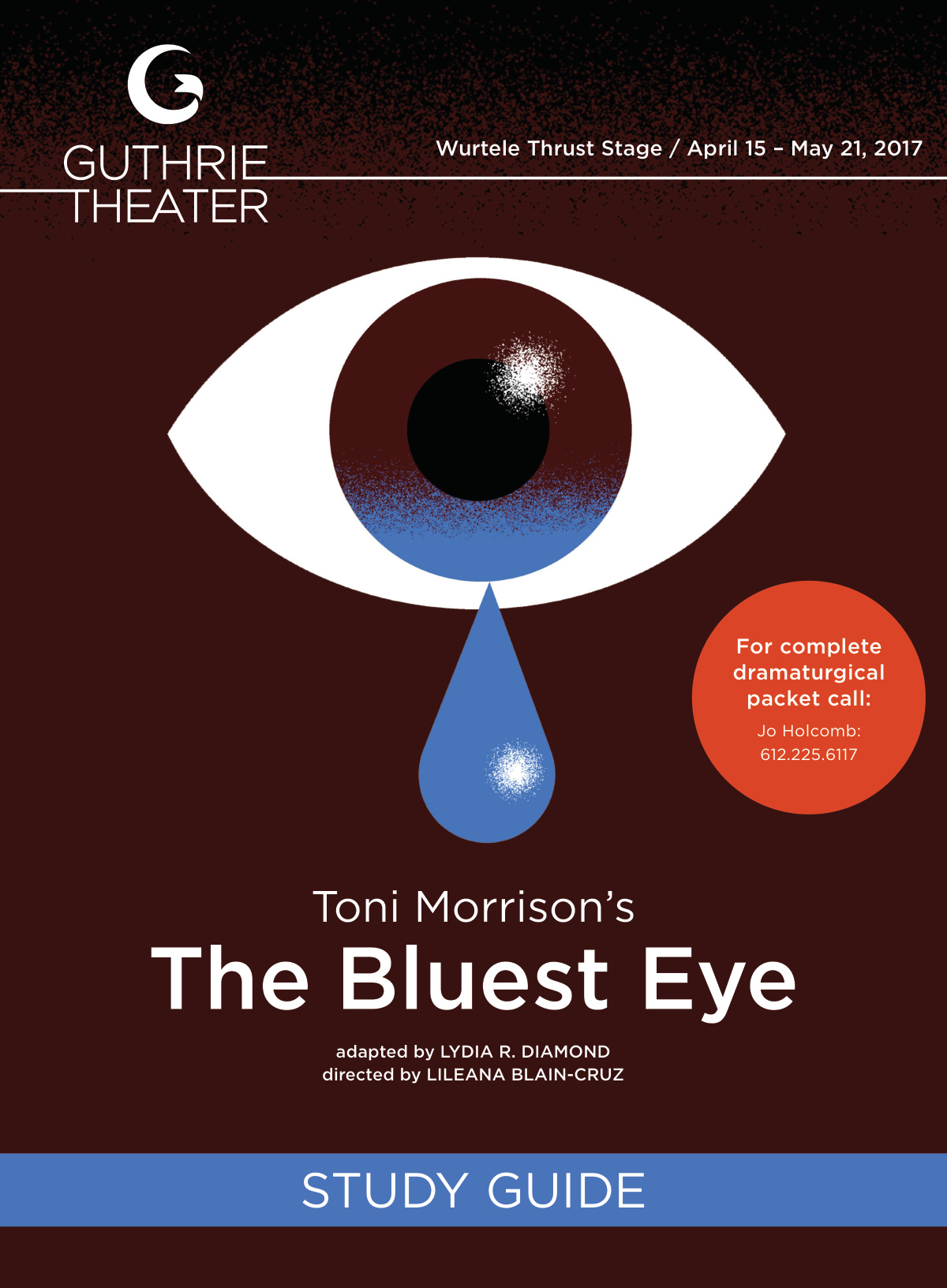 The Bluest Eye book cover