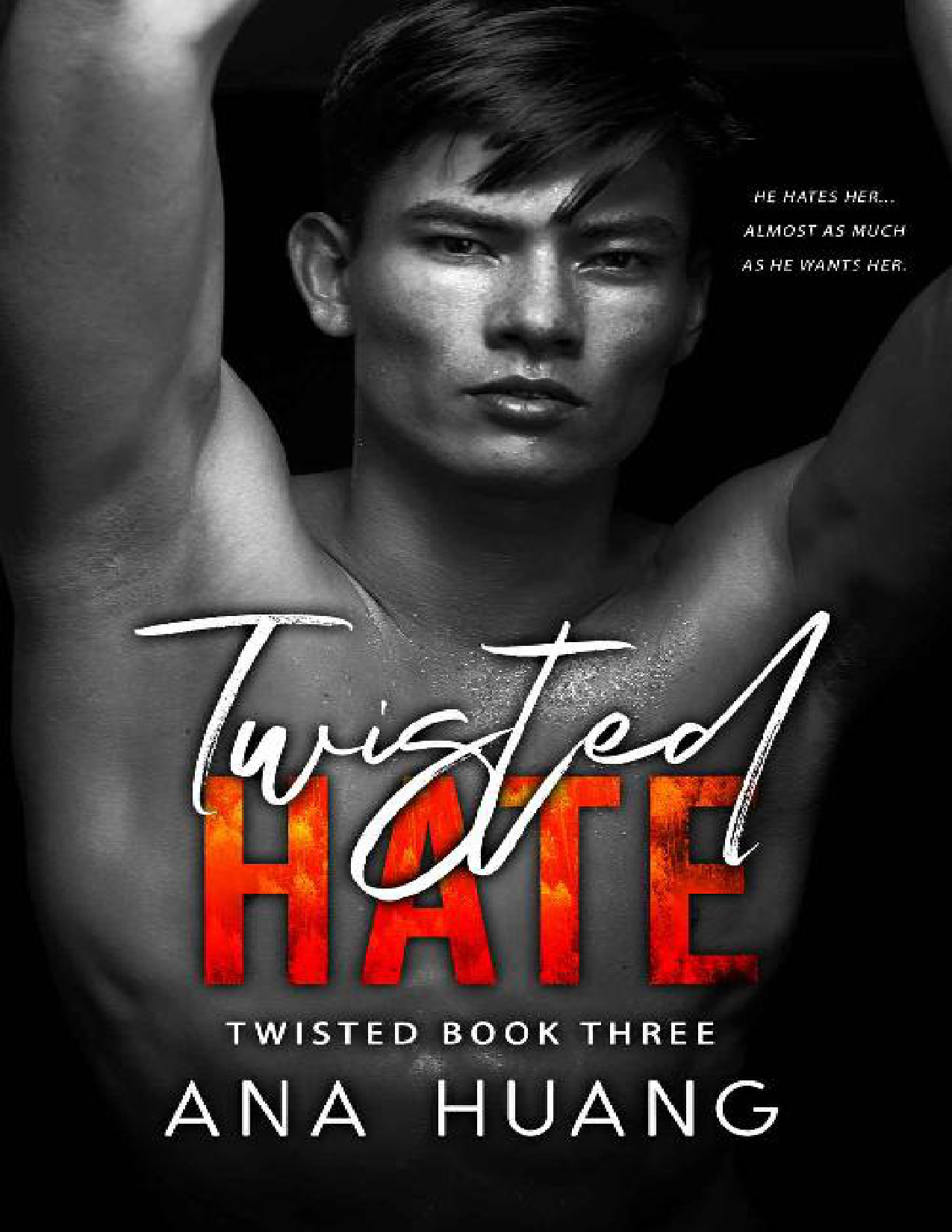 Twisted Hate book cover